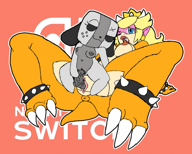 koopa+princess peach+switch dog