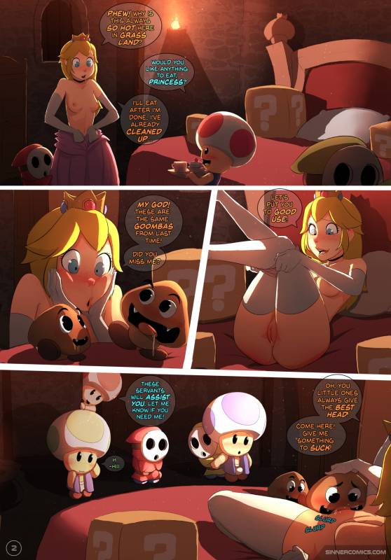 goomba+princess peach+shy guy+toad+toad (mario)